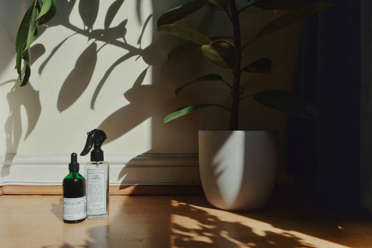 Revitalise Your Indoor Garden with Plant Food this Spring and Summer