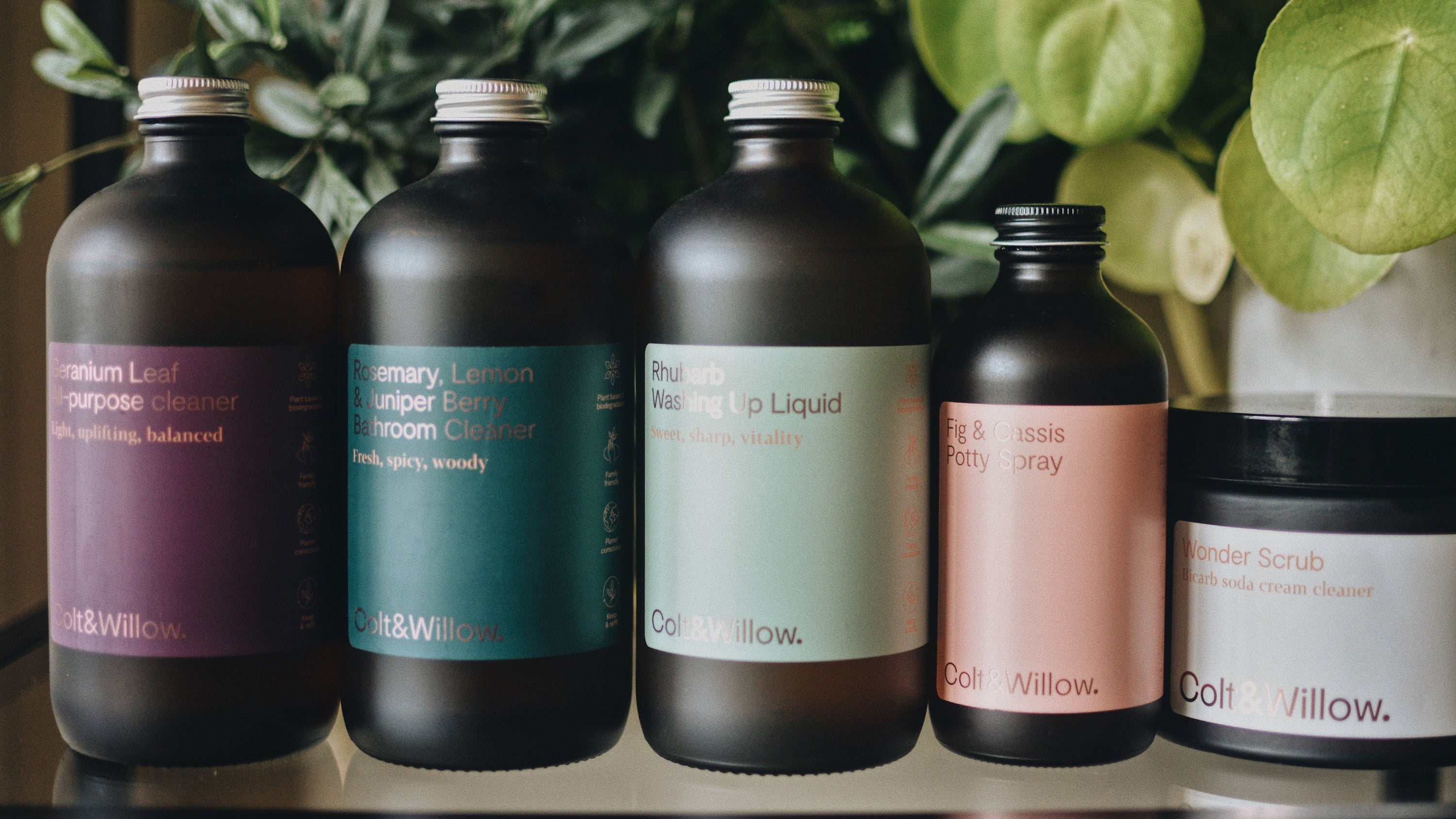 Detoorp Home Cleaning Collection | Aesthetic Sustainable Marketplace