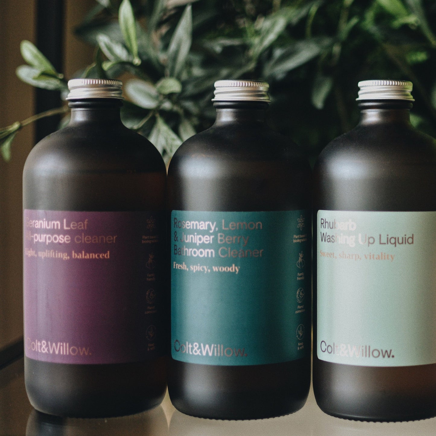 Colt & Willow | All-purpose Cleaner
