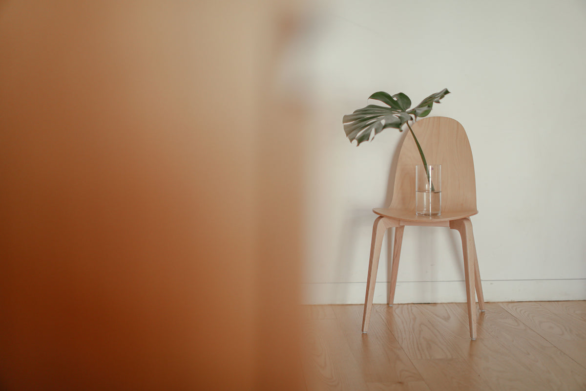 A minimalist setup featuring a wooden chair with a glass vase and plant leaf.